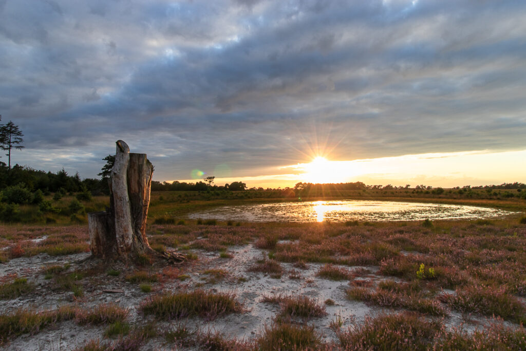 Strabrechtse Heide