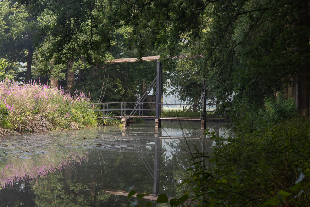 Herbertusbos Heeze, Kasteel Heeze