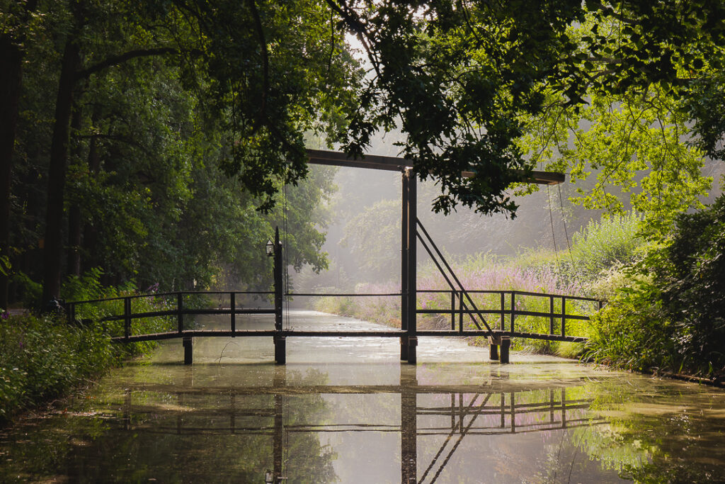 Herbertusbos Heeze, Kasteel Heeze