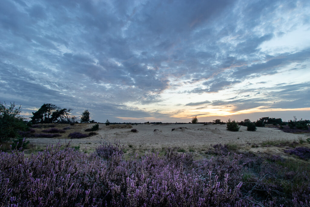 Strabrechtse heide, Galgenberg,