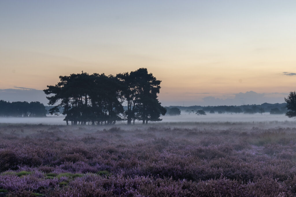 Regte Heide Goirle