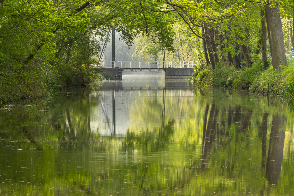 Griendtsveen