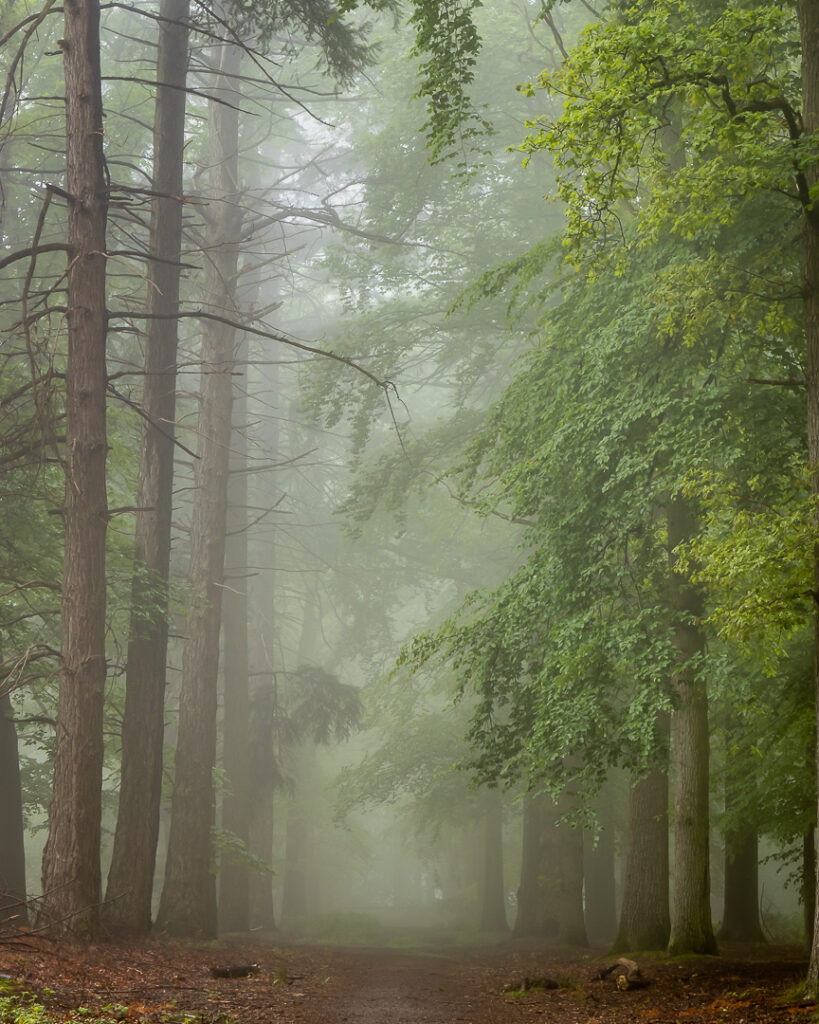 Herbertusbos Heeze