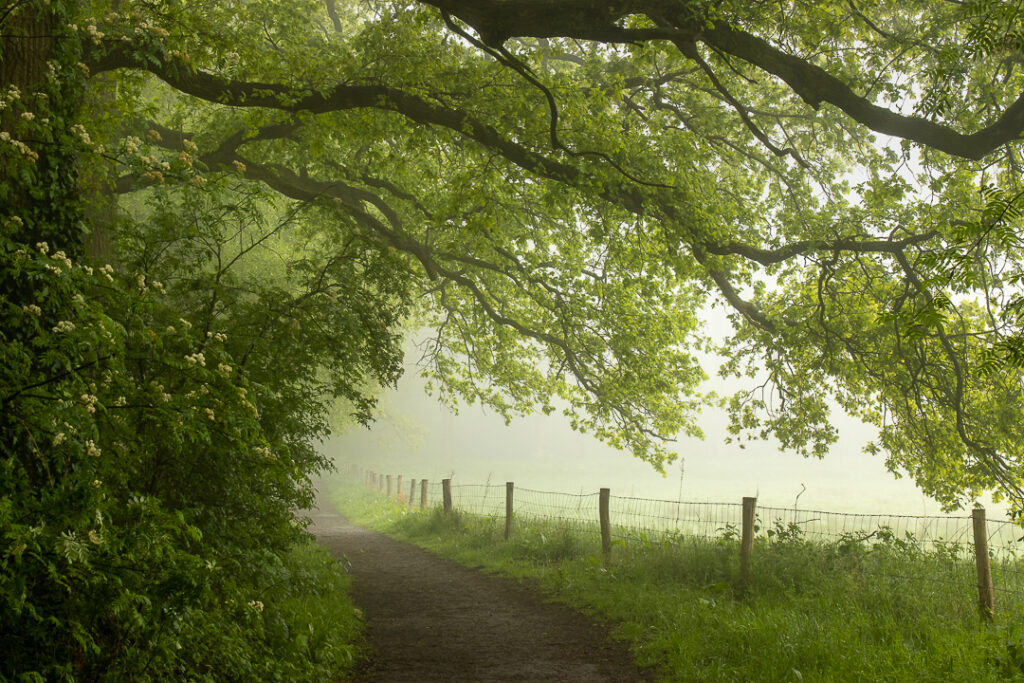 Herbertusbos Heeze