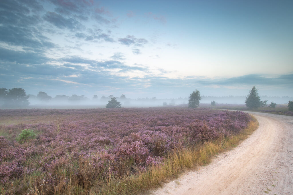 Strabrechtse Heide