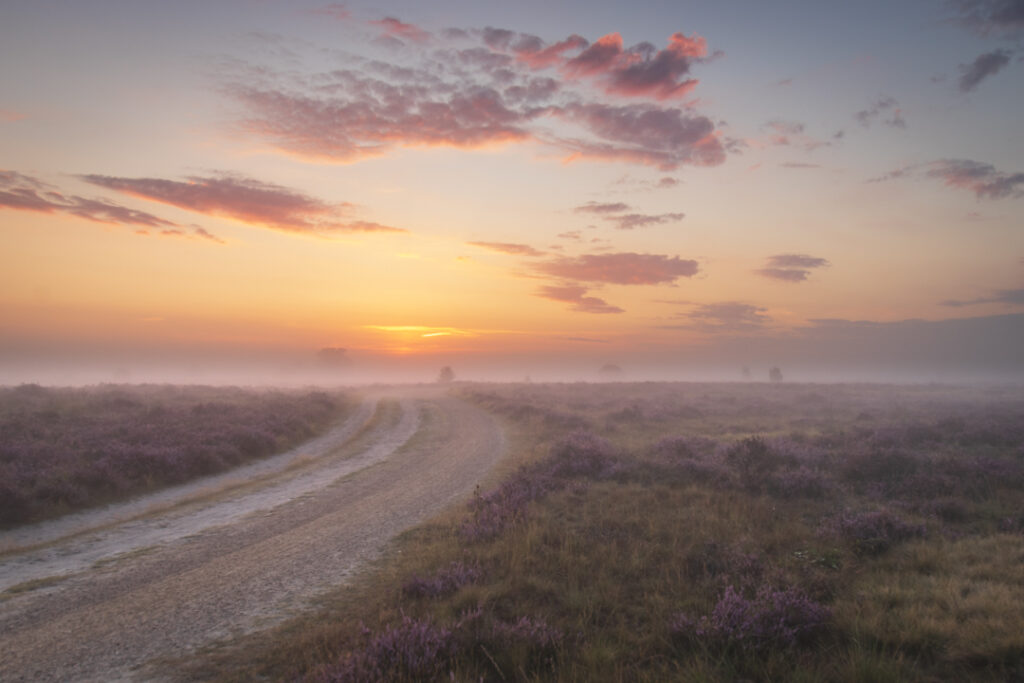 Strabrechtse Heide