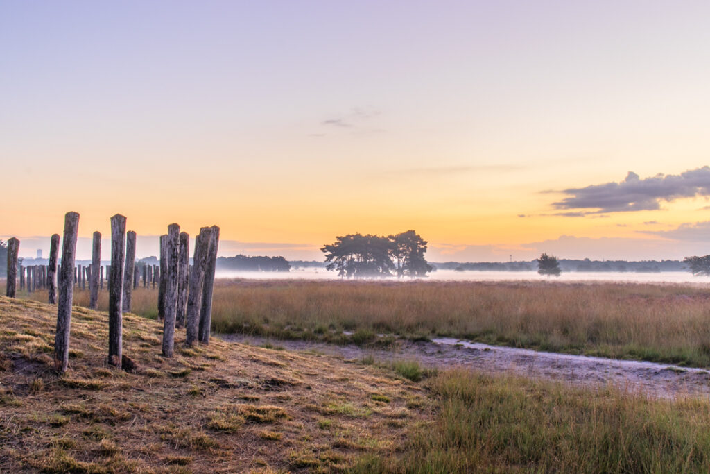 Regte Heide Goirle