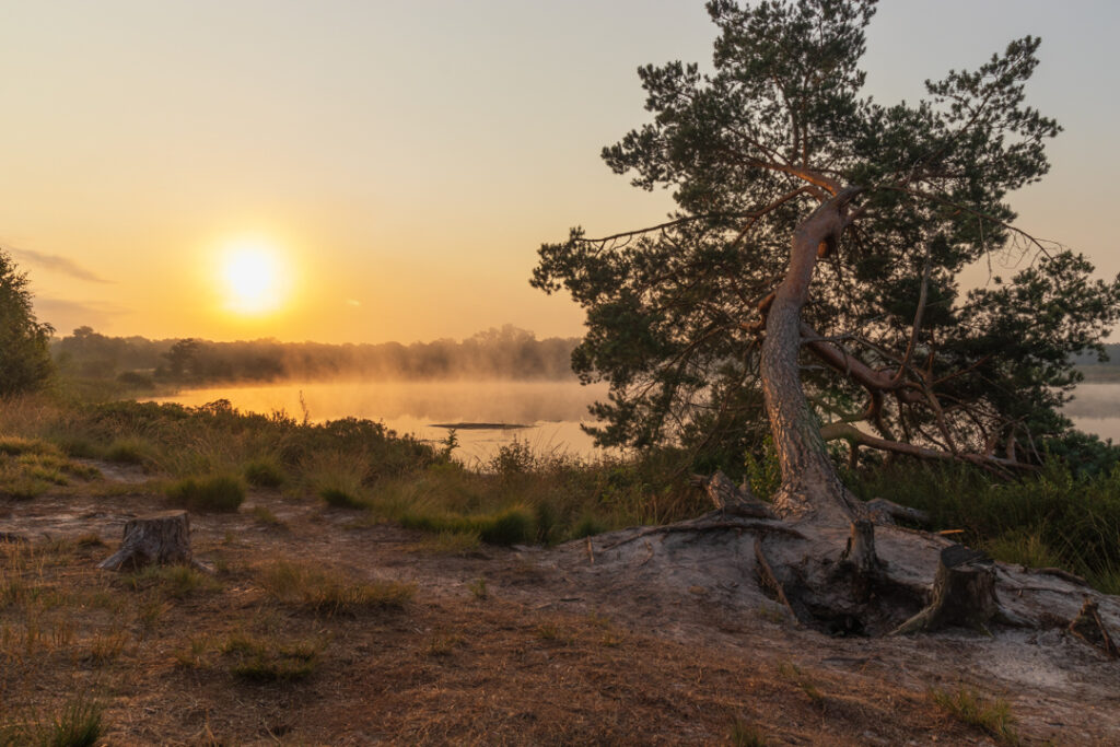 de Malpie, zonsopkomst