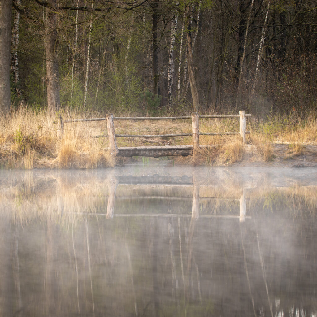 Oisterwijkse vennen