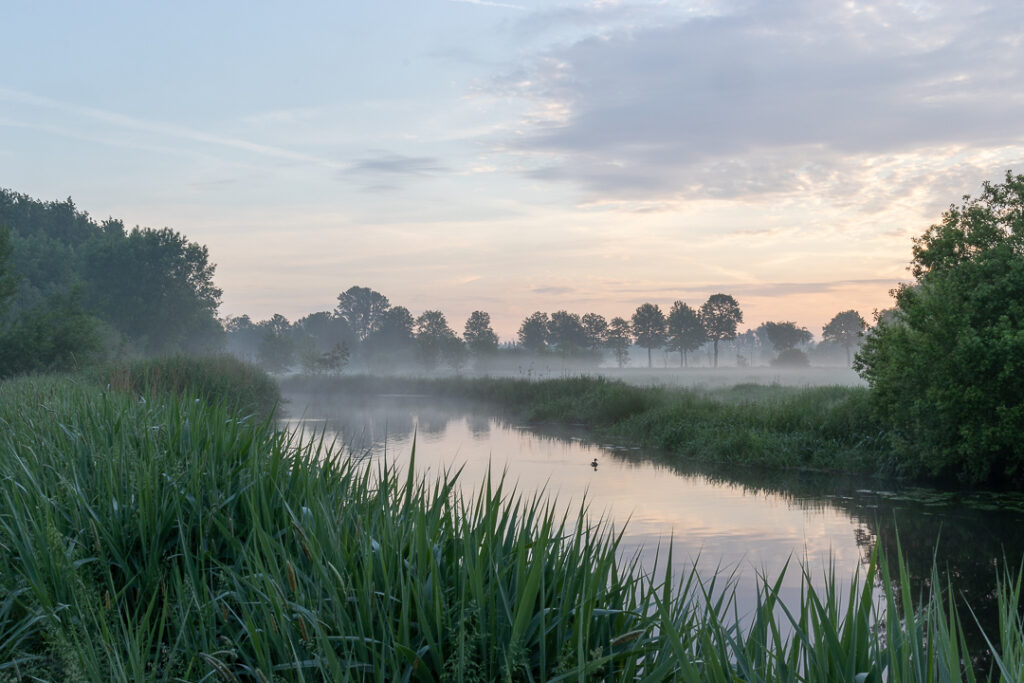 Nederwetten, Dommel