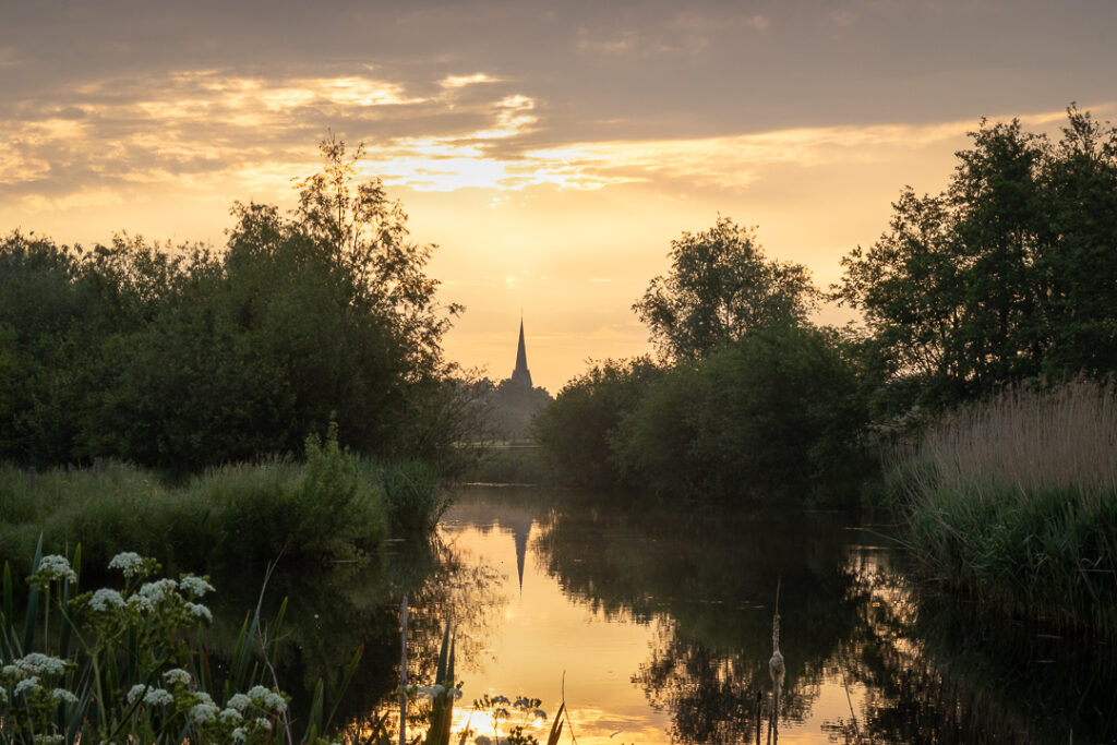 Nederwetten, Dommel