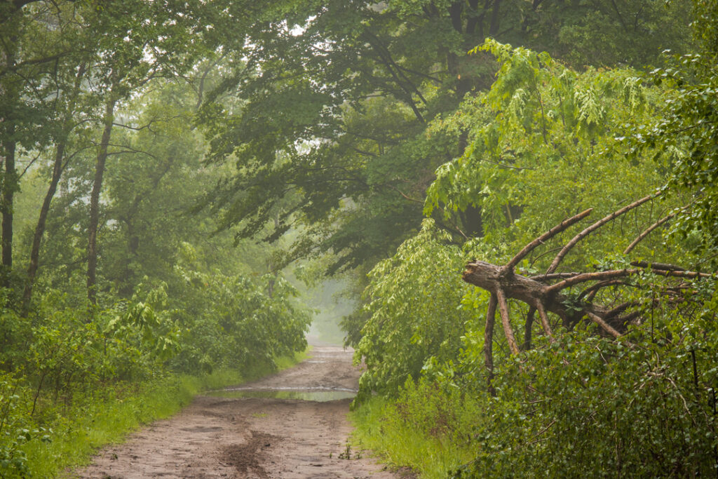 Groote Heide, Leende