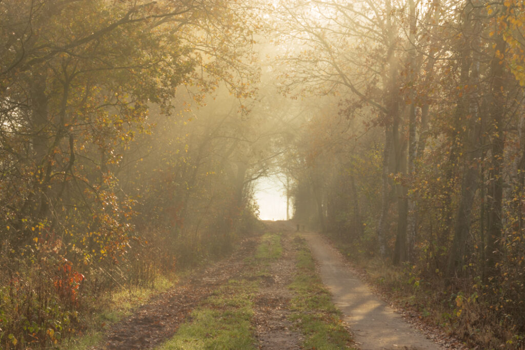 Groote Heide, Herfst