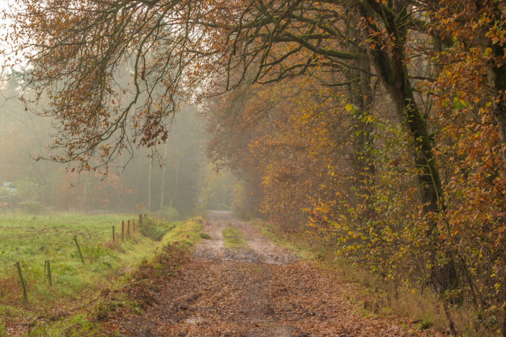 Groote Heide, Herfst