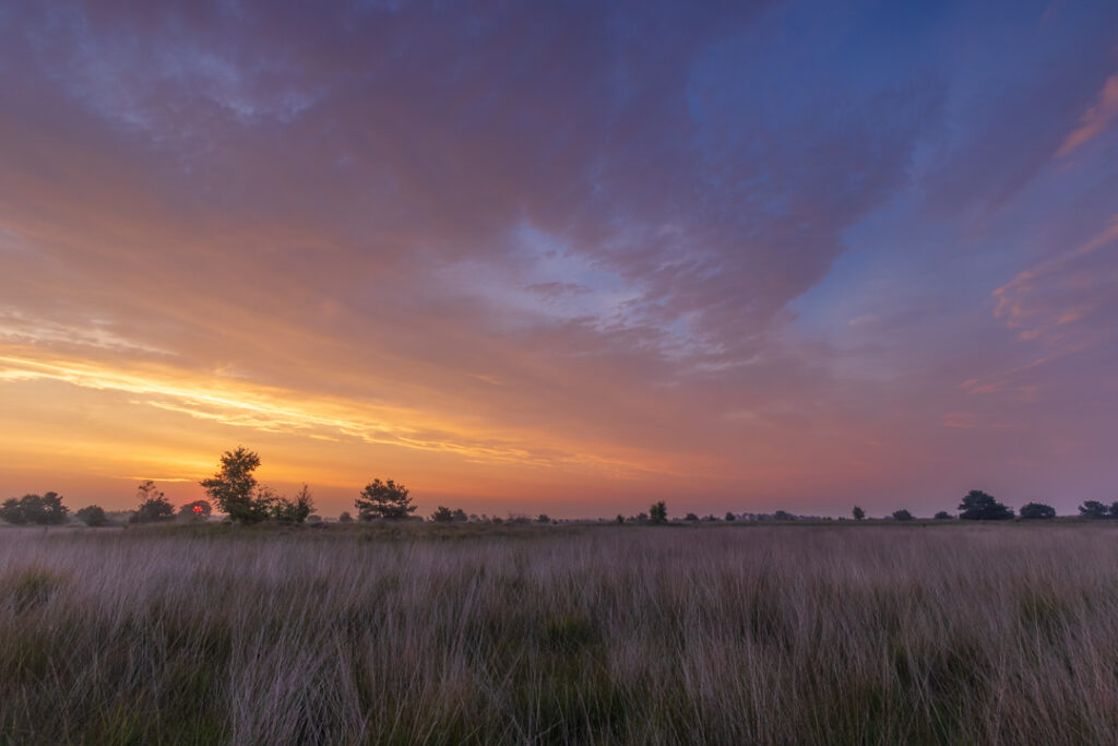 Strabrechtse heide, zonsopkomst