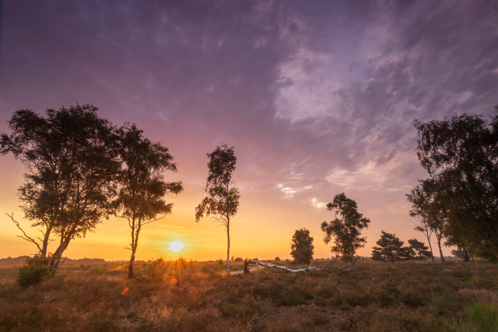 Strabrechtse heide, zonopkomst